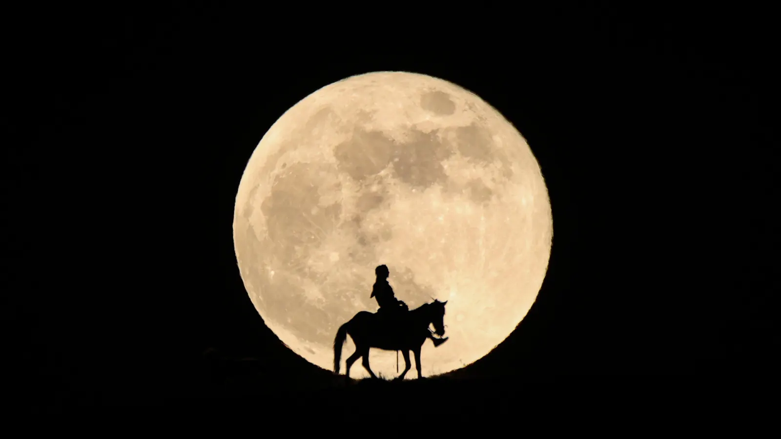 Don’t Miss May’s ‘Blue Moon’ Rise Tonight — Exact Times For Saturday – Forbes