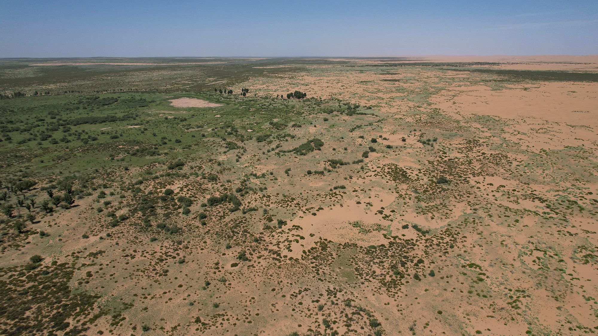 66 billion trees have been planted in China’s Great Green Wall — and they appear to be growing faster than natural forests – Live Science