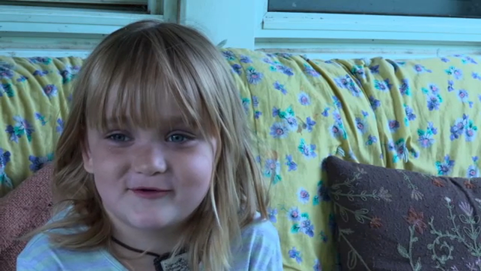6-year-old girl bitten by rabid bat in Wisconsin, family says – ABC7 Chicago