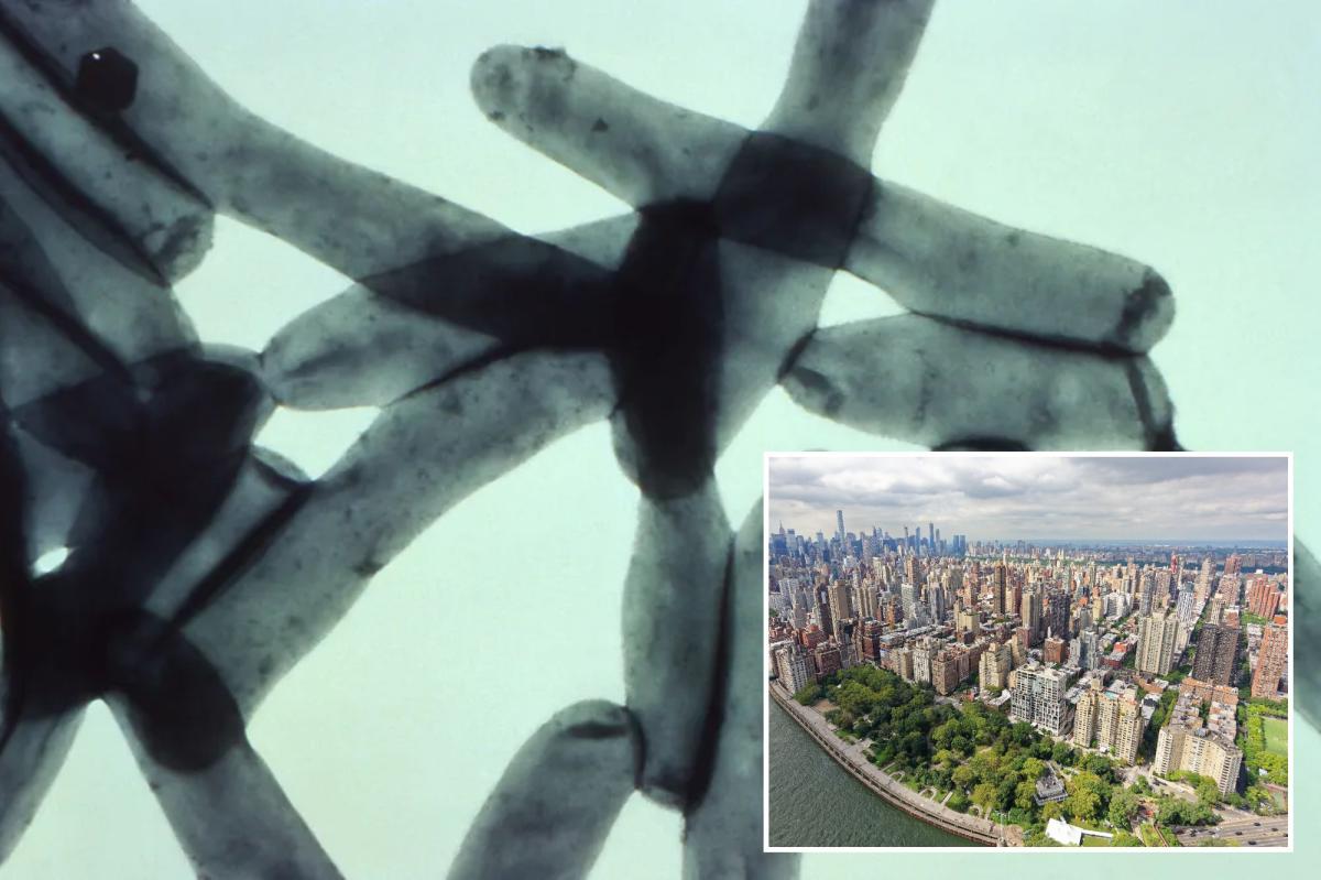 Seventh person dies in NYC Legionnaires’ disease outbreak – New York Post