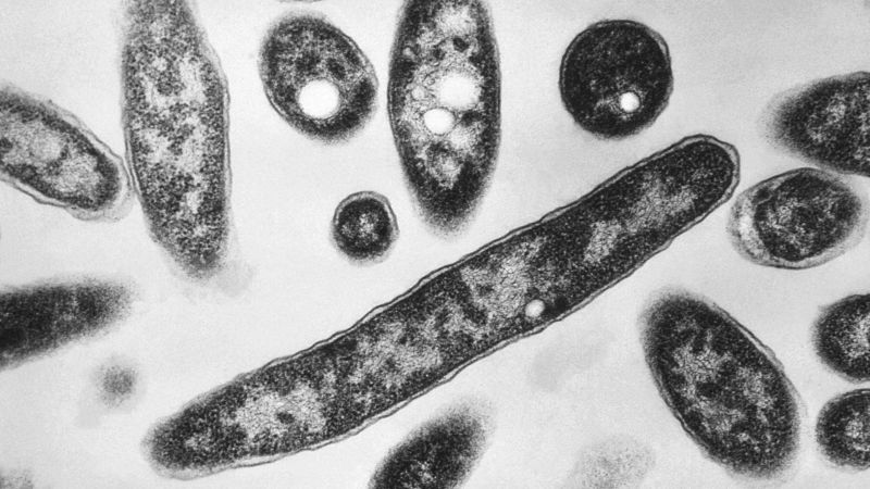 New York City Legionnaires’ disease outbreak linked to 7 deaths is declared over – CNN